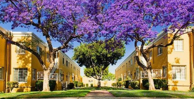 2 Bedroom Condo With A View Near The Grove Los Angeles Extérieur photo
